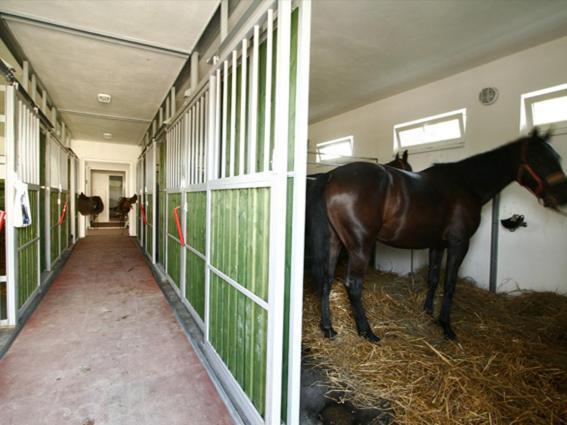 Czajlik Ranch Otel Jahodná Dış mekan fotoğraf