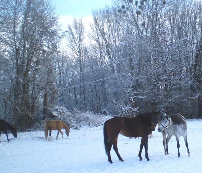 Czajlik Ranch Otel Jahodná Dış mekan fotoğraf